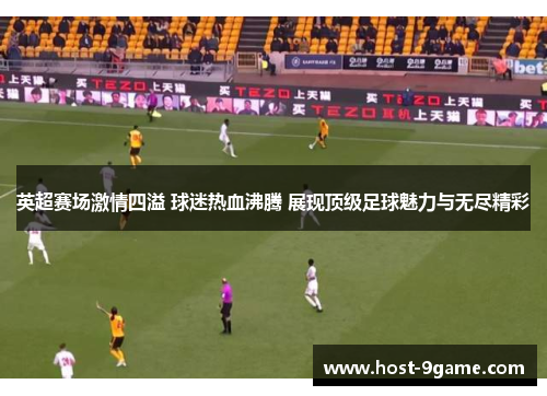英超赛场激情四溢 球迷热血沸腾 展现顶级足球魅力与无尽精彩 英超赛场激情四溢 球迷热血沸腾 展现顶级足球魅力与无尽精彩