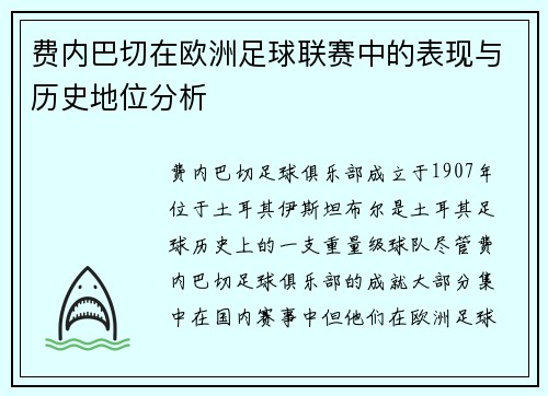 费内巴切在欧洲足球联赛中的表现与历史地位分析 费内巴切在欧洲足球联赛中的表现与历史地位分析