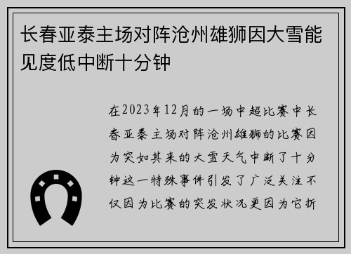 长春亚泰主场对阵沧州雄狮因大雪能见度低中断十分钟